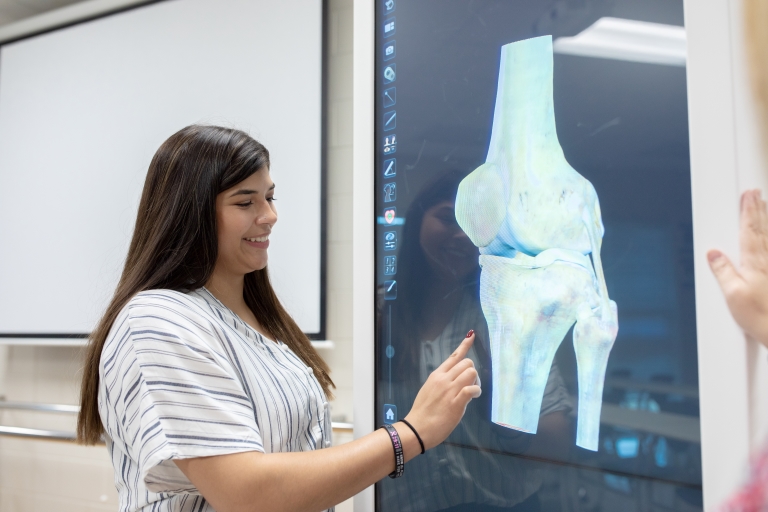 student pointing at join on an anatomage table