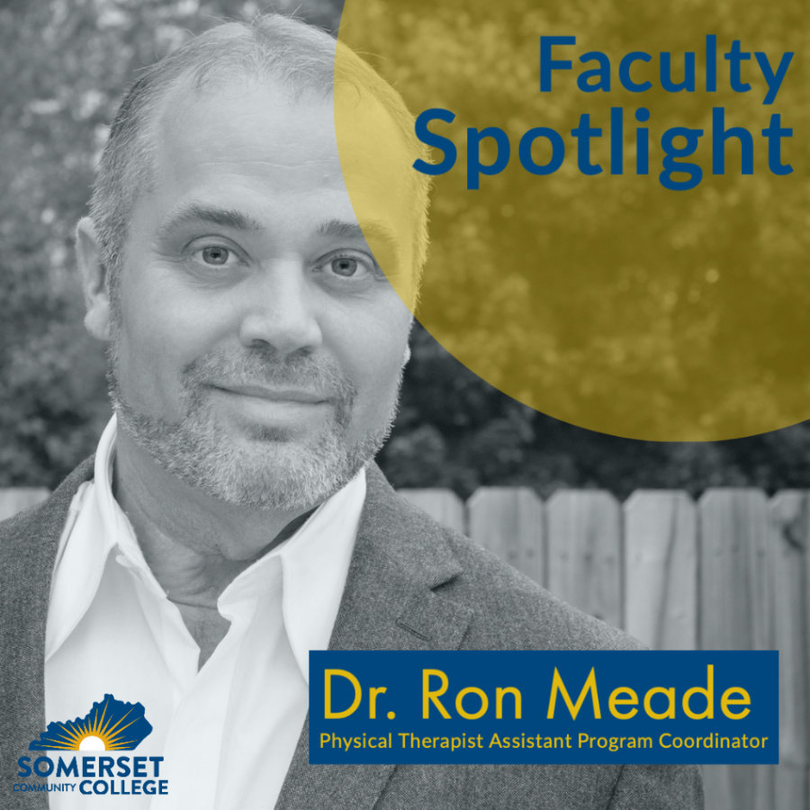 dr. ron meade