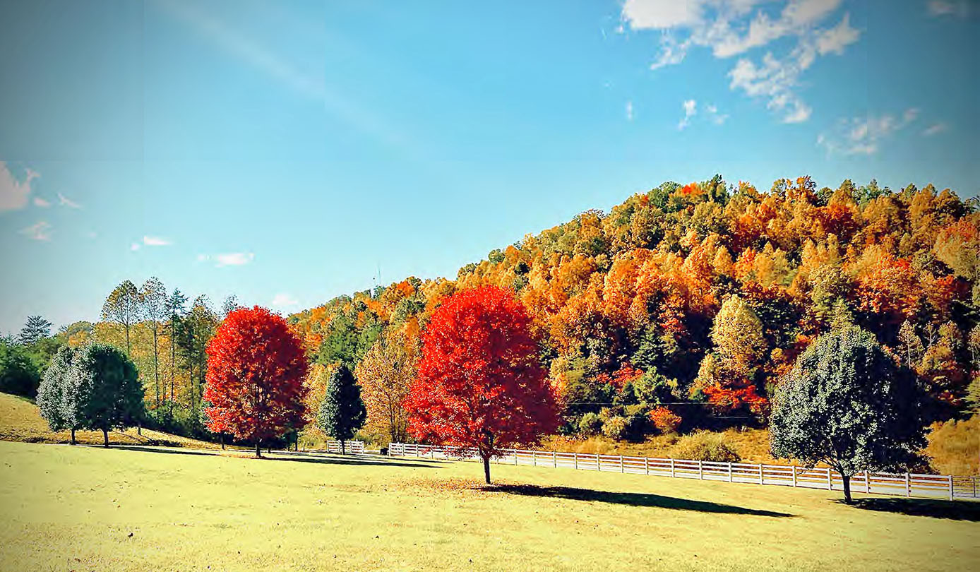 the rainbow of fall colors in south-central Kentucky, by Makaley S. Foster