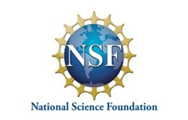 NSF logo